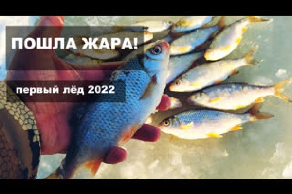 Как вернуть аккаунт на кракене