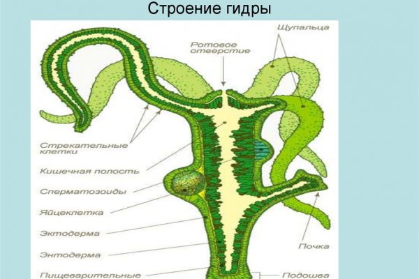 Официальная тор ссылка кракен сайта