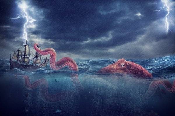 Kraken рабочее зеркало