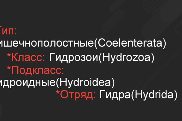 Кракен даркнет только через стор