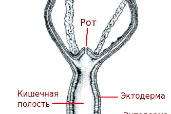 Кракен 2024 сайт