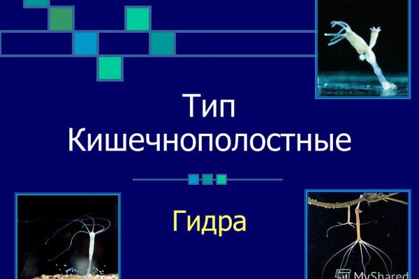 Кракен 22