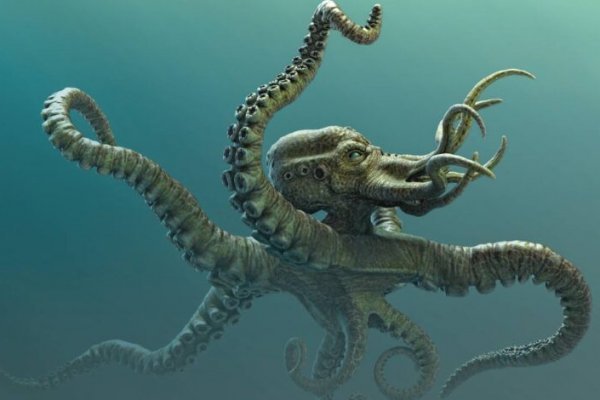 Настоящий сайт kraken