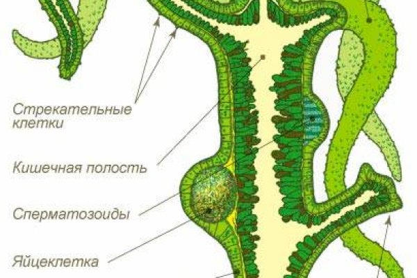 Кракен как попасть